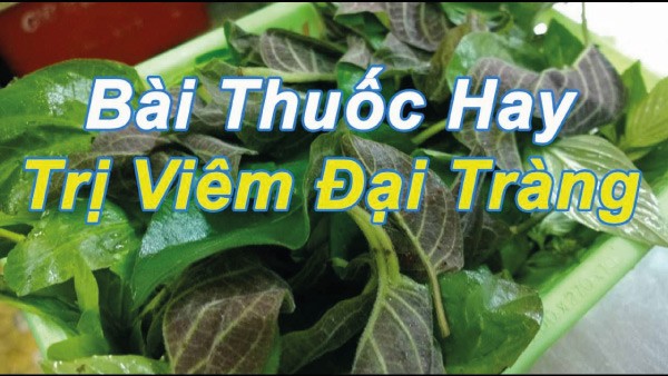 bài thuốc đông y chữa viêm đại tràng