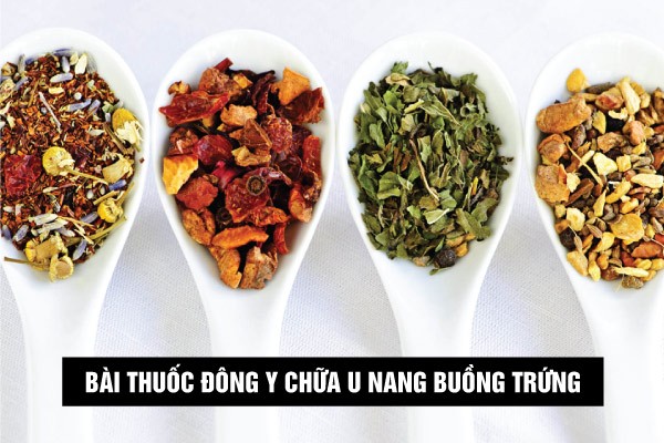 bài thuốc đông y chữa u nang buồng trứng