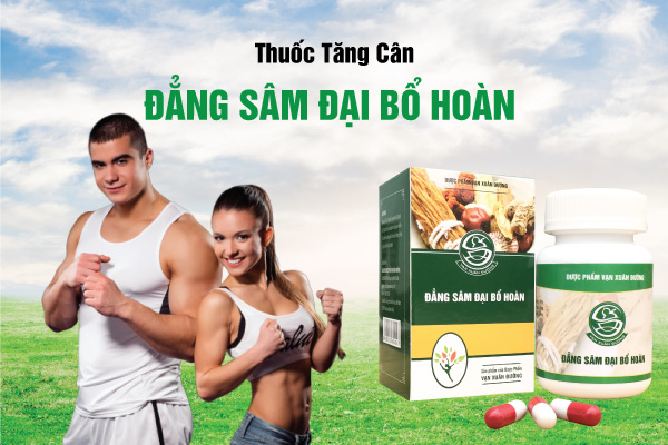 Đẳng Sâm Đại Bổ Hoàn