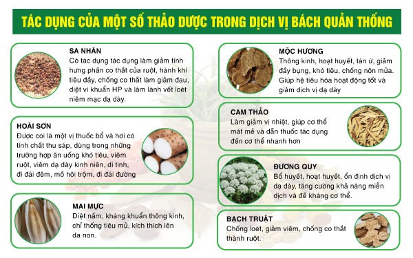 Thanhphandichvibachquanthong