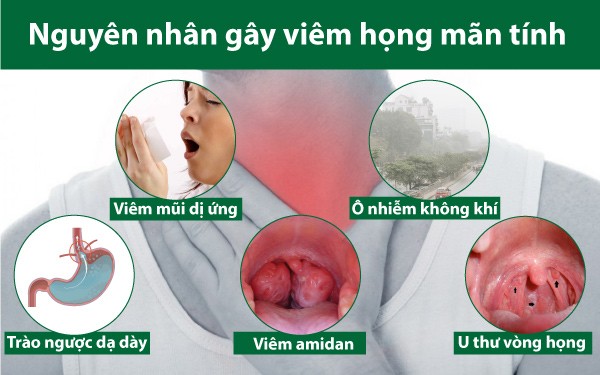 Viem Hong Man Tinh2
