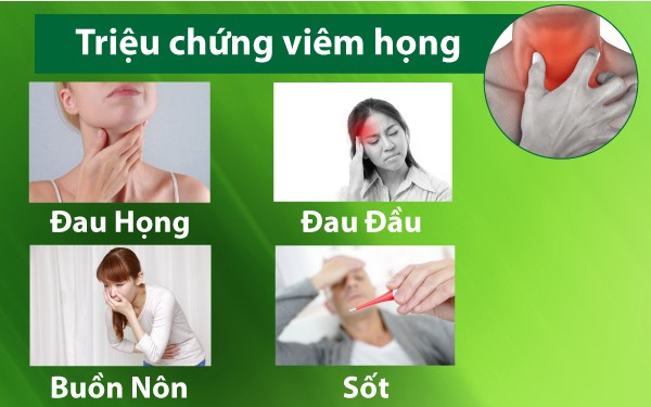 Viem Hong3