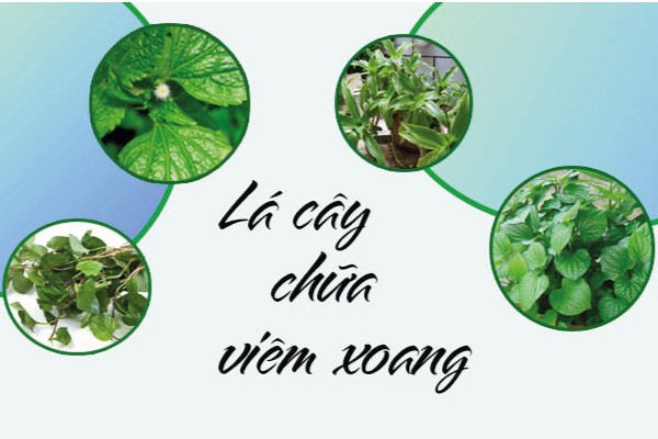 bài thuốc đông y chữa viêm xoang mũi